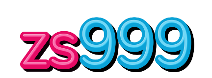 zs999 — logo kanal
